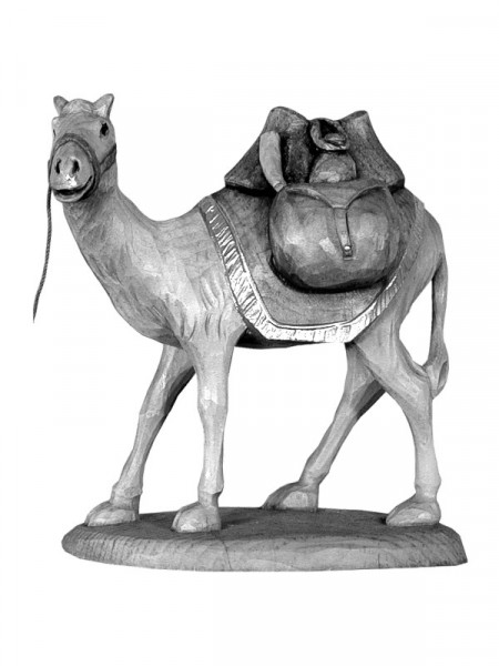 Camel with baggage and saddle