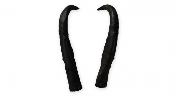 Prong Horn 2 aus Polyurethan, 32 cm