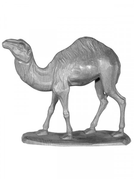 Camel without lugage