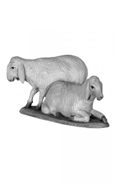 Pair of sheeps - one lying and one standing